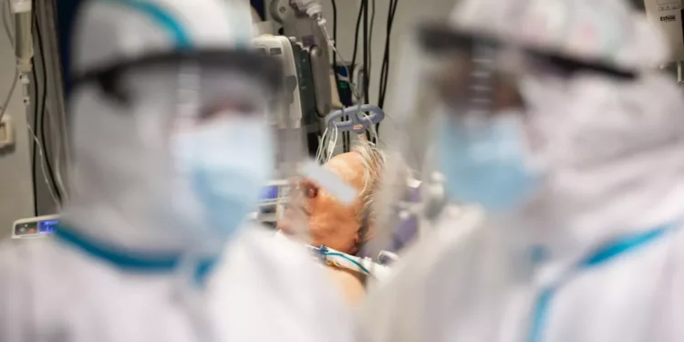Un equipo japonés crea un tratamiento contra COVID-19 con células inmunitarias sintéticas