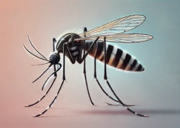 Puerto Rico extiende el umbral epidémico de dengue tras 49 semanas consecutivas de alta transmisión