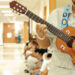 Conservatorio de Música inaugura el primer bachillerato en Musicoterapia en Puerto Rico