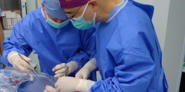 Logran trasplante experimental de pulmón de cerdo a humano con resultados prometedores