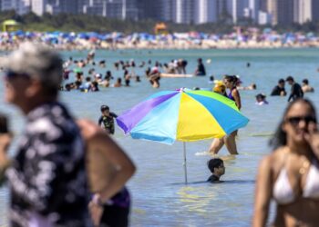 Suben a ocho las muertes en Estados Unidos por una bacteria carnívora presente en el mar