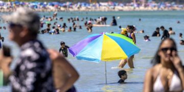 Suben a ocho las muertes en Estados Unidos por una bacteria carnívora presente en el mar