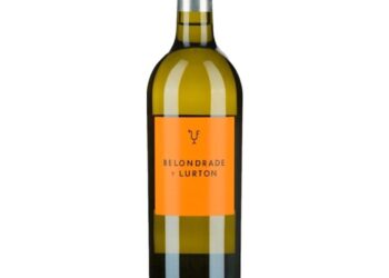 Ribera del Duero y Rueda: brindis con sabor español para despedir el año en Puerto Rico